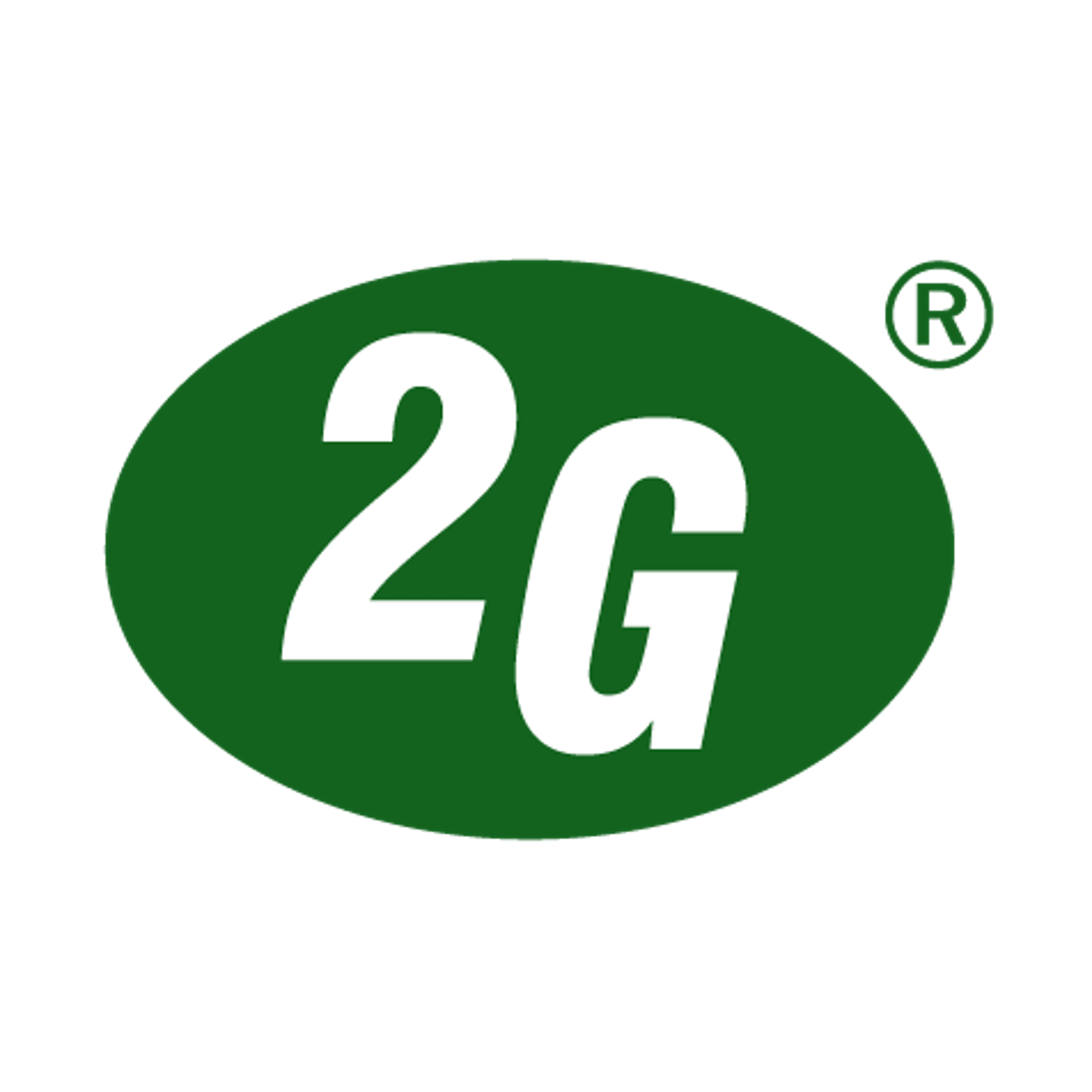 2G Energy AG