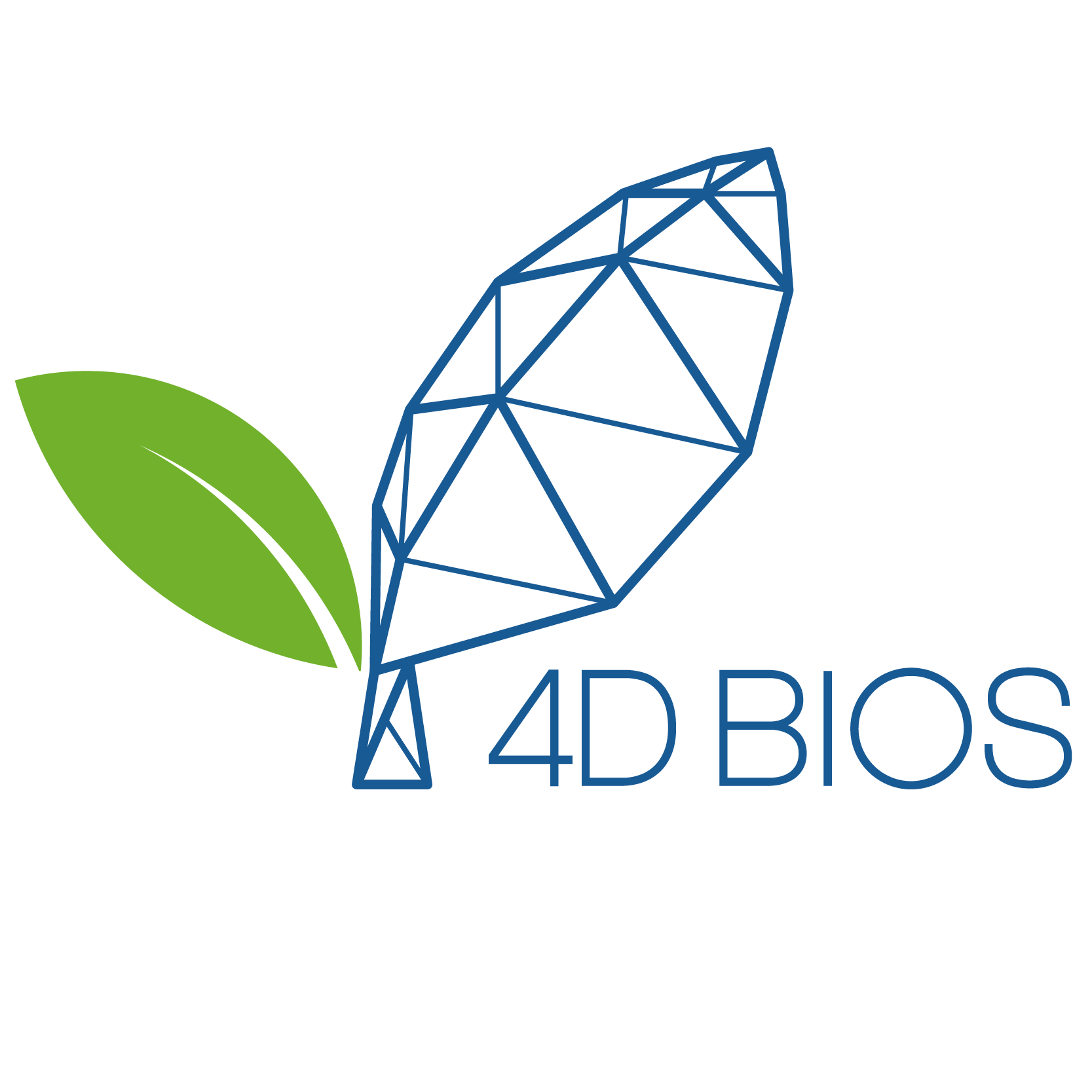 4D Bios Co., Ltd.