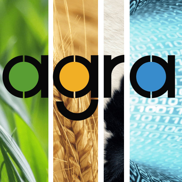 agra - Exhibition Details