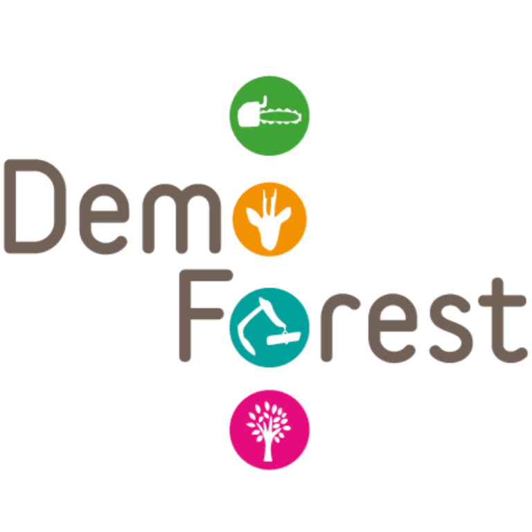 Demo Forest - Exhibition Details