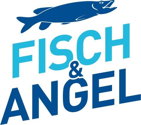FISCH & ANGEL - Exhibition Details