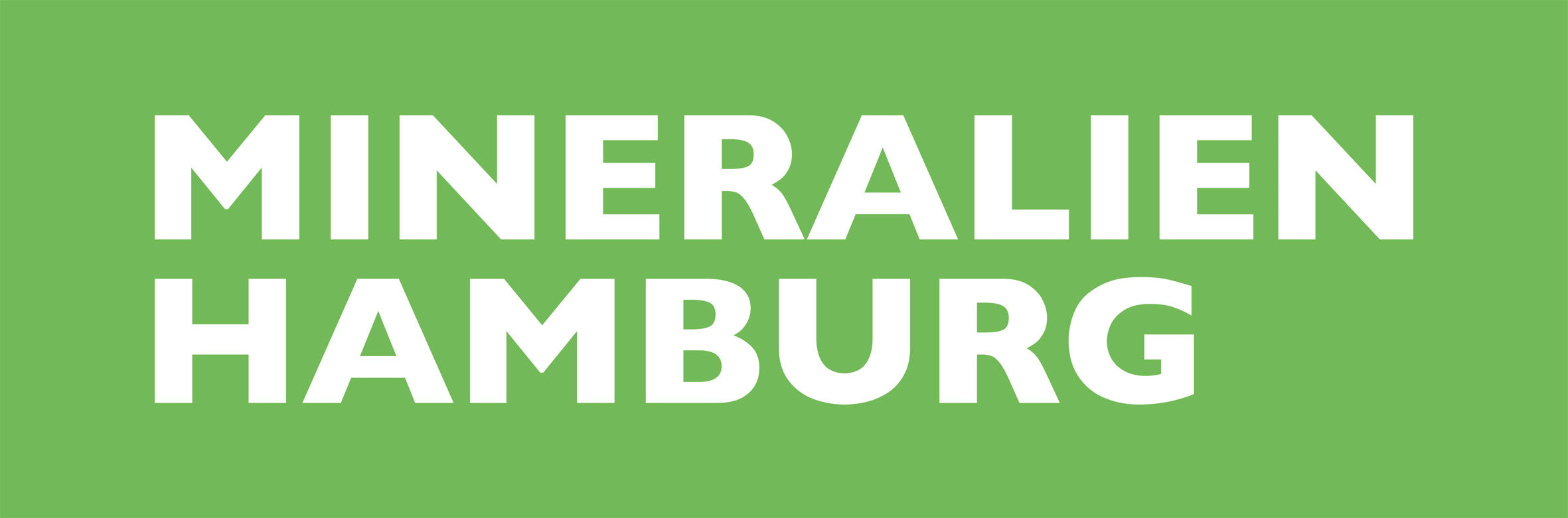 Mineralien Hamburg - جزئیات نمایشگاه