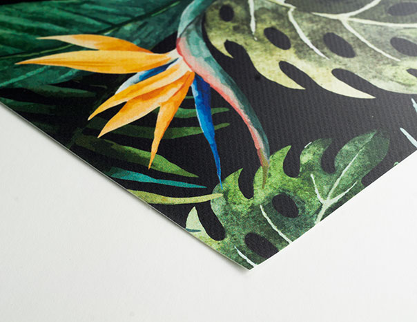 Our print media for your advertising banners