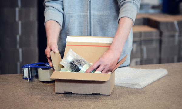 Full-Service Warehousing & Shipping Logistics with Packaging Solutions – Pack and Go Logistic