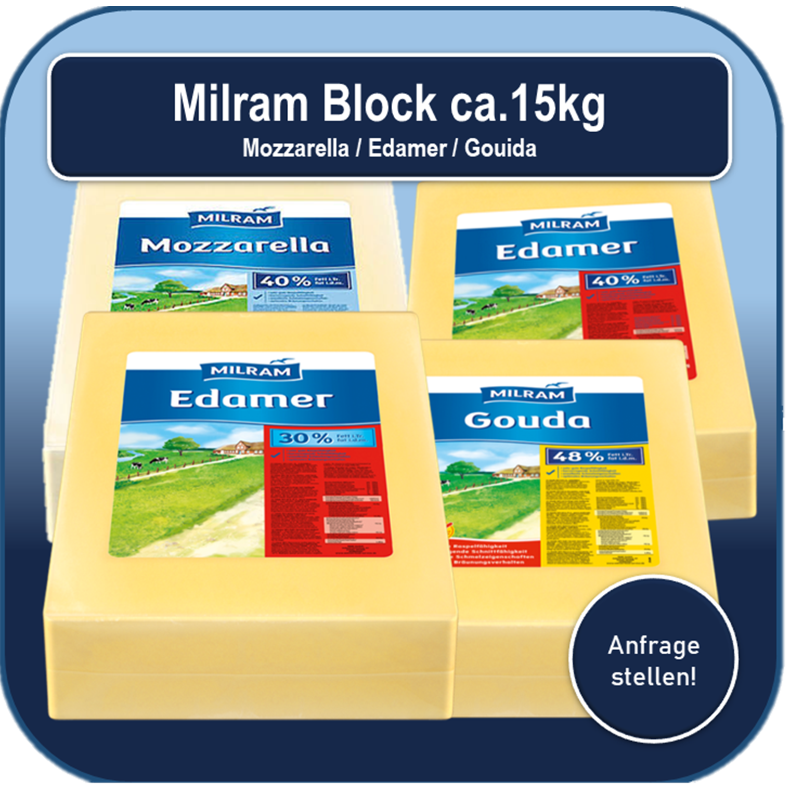 Block Cheese 15kg / Milram / "Anje" Holland - Edam / Gouda with 30% / 40% / 48%