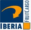 Premium transport for Europe, Spain, and international routes – including machine transport and logistics management