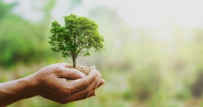 Sustainability in Trade Fair Construction