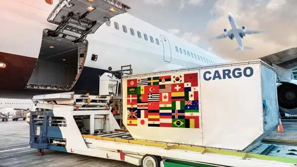 Freight Cost Calculation and Freight Cost Controlling – The TMS LP2 Creates Cost Transparency in Your Logistics