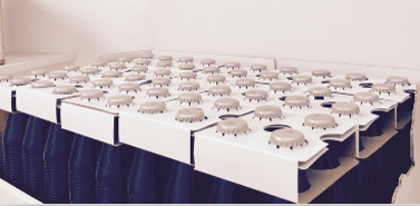 Display Construction